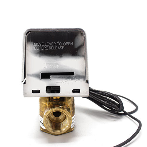 Delta Auto Drain Valve 240V