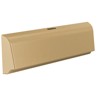 Delta SteamScape Deluxe Unilateral Steam Head w/ Reservoir