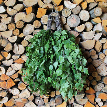 Bathology Essentials 500 Sauna, Birch Whisk, 20", 4oz