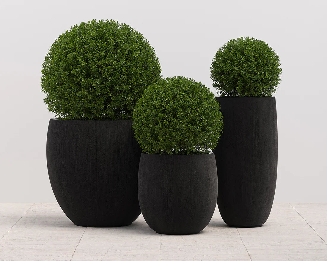 SUNPAN Coleus Planter - Large - Round