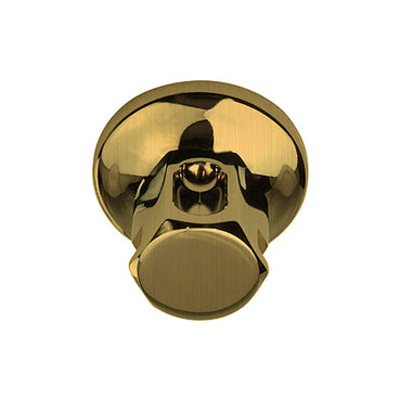 ThermaSol Legacy Steamhead with Aromatherapy Well, 1/2" or 3/4" NPT