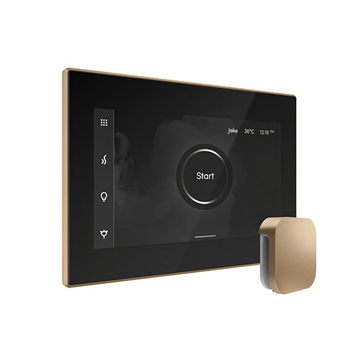 Mr.Steam iSteamX Steam Shower Control w/ Aroma SteamHead