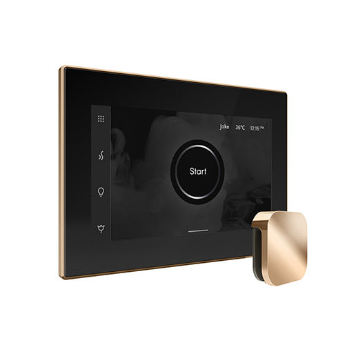 Mr.Steam iSteamX Steam Shower Control w/ Aroma SteamHead