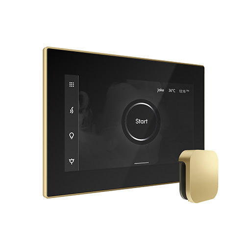 Mr.Steam iSteamX Steam Shower Control w/ Aroma SteamHead
