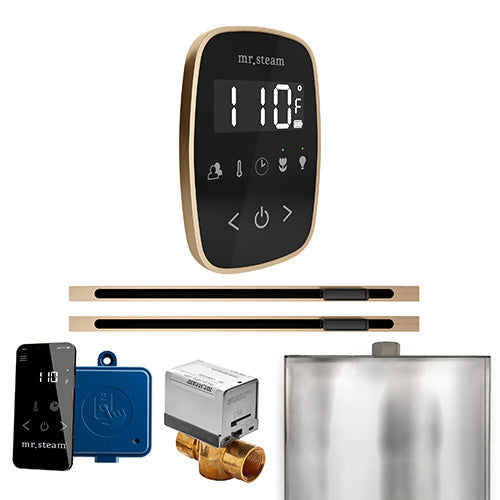 Mr.Steam ButlerFlex Steam Shower Max Linear Control Package
