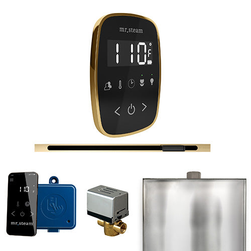Mr.Steam ButlerFlex Steam Shower Linear Control Package