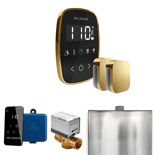 Mr.Steam ButlerFlex Steam Shower Max Control Package