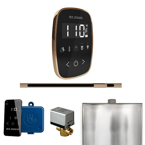 Mr.Steam ButlerFlex Steam Shower Linear Control Package