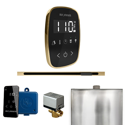Mr.Steam ButlerFlex Steam Shower Linear Control Package