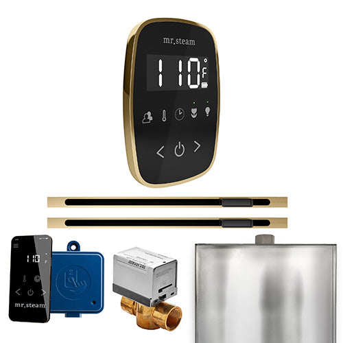 Mr.Steam ButlerFlex Steam Shower Max Linear Control Package