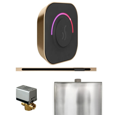 Mr.Steam ButlerTouch Steam Shower Linear Control Package