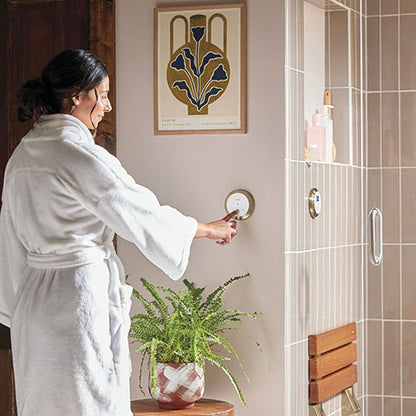 Delta SteamScape™ 5kW Steam Generator