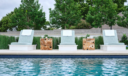 Ledge Lounger Echo Chaise (Available in 8 Resin Colors & 12 Fabrics) - LL-EO-C-WE-STD-4633
