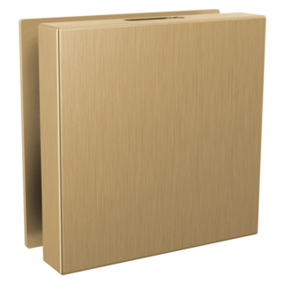 Delta SteamScape Deluxe Contemporary Square Steam Head w/ Reservoir