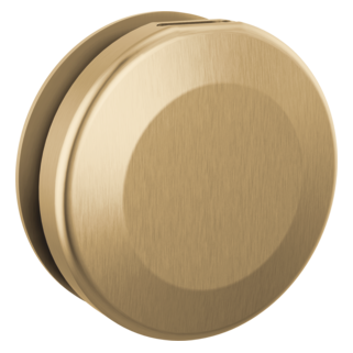 Delta SteamScape Classic Round Steam Head