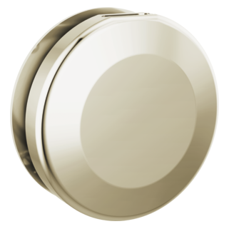 Delta SteamScape Classic Round Steam Head