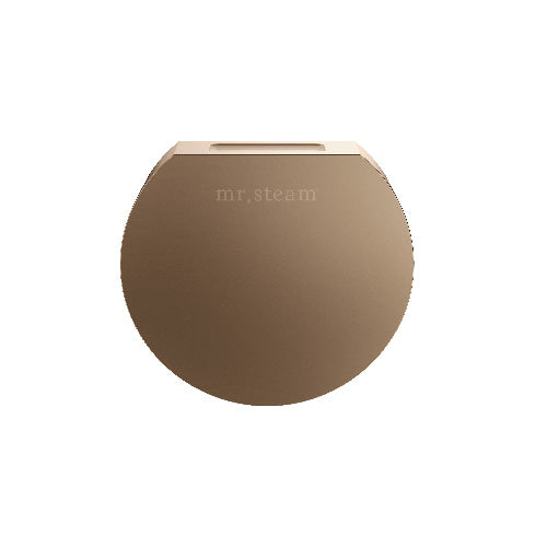 Mr.Steam 104515 Aroma Designer Finish SteamHead, Round