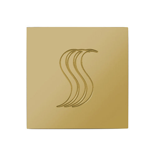 ThermaSol SteamVection Steamhead with Aromatherapy Well, 1/2" NPT
