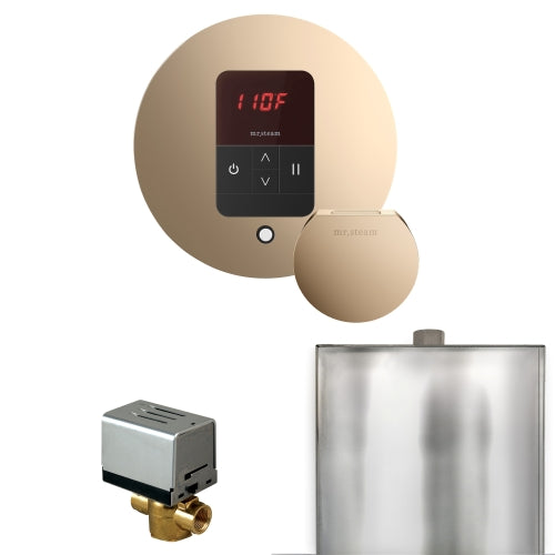 Mr.Steam Basic Butler Steam Shower Control Package