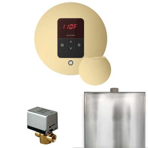 Mr.Steam Basic Butler Steam Shower Control Package