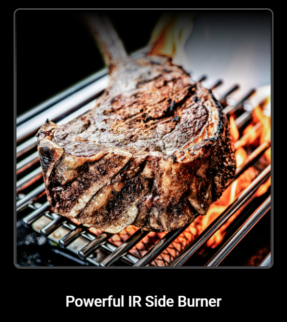 Broil King Regal™ S 690 Pro Infrared Gas Grill - BK957947