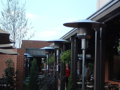 Schwank Portable Stainless Steel Patio Heater 4005 LP 38,000 BTU - PS-4005-CB