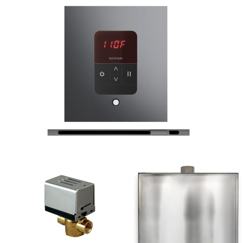 Mr.Steam Basic Butler Steam Shower Linear Control Package