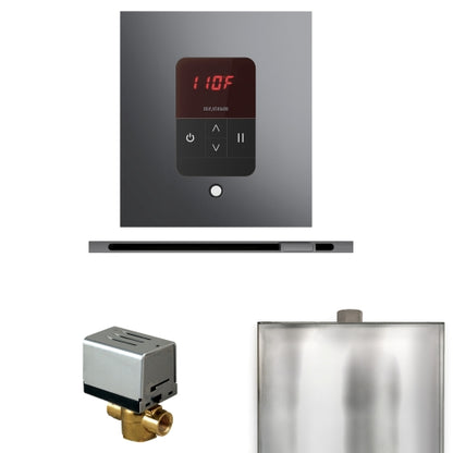 Mr.Steam Basic Butler Steam Shower Linear Control Package