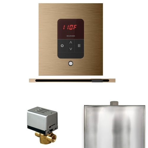 Mr.Steam Basic Butler Steam Shower Linear Control Package