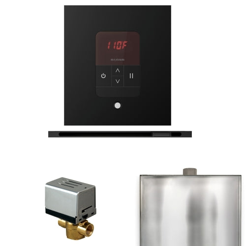Mr.Steam Basic Butler Steam Shower Linear Control Package