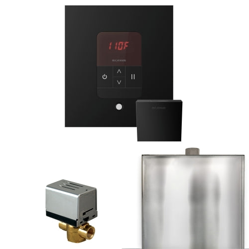 Mr.Steam Basic Butler Steam Shower Control Package