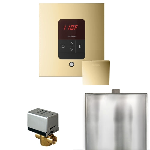Mr.Steam Basic Butler Steam Shower Control Package