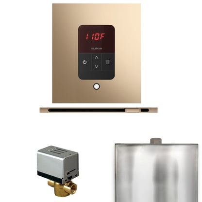 Mr.Steam Basic Butler Steam Shower Linear Control Package