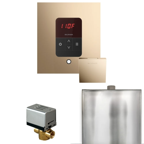 Mr.Steam Basic Butler Steam Shower Control Package