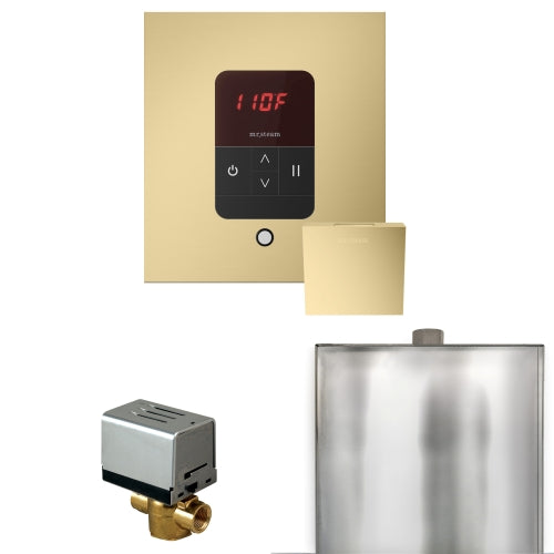 Mr.Steam Basic Butler Steam Shower Control Package