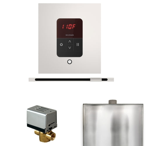Mr.Steam Basic Butler Steam Shower Linear Control Package