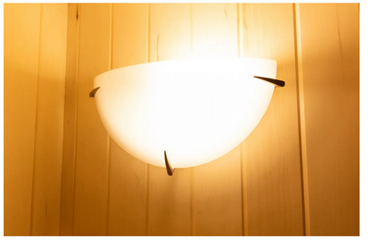 TheraSauna TS5951UF Far Infrared Sauna