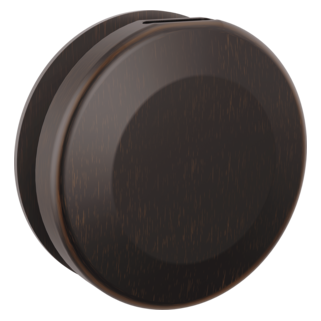 Delta SteamScape Classic Round Steam Head