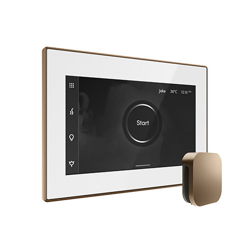 Mr.Steam iSteamX Steam Shower Control w/ Aroma SteamHead