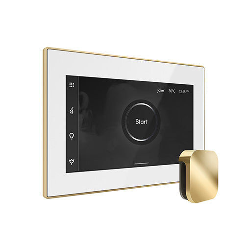 Mr.Steam iSteamX Steam Shower Control w/ Aroma SteamHead