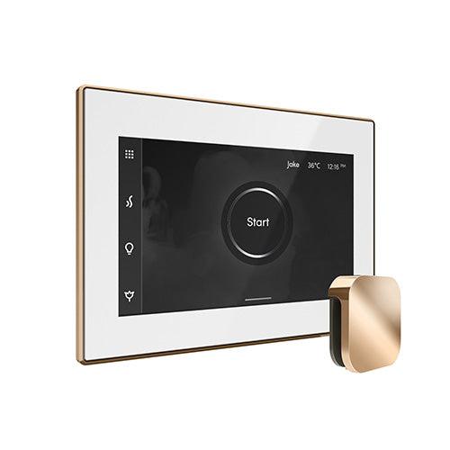 Mr.Steam iSteamX Steam Shower Control w/ Aroma SteamHead