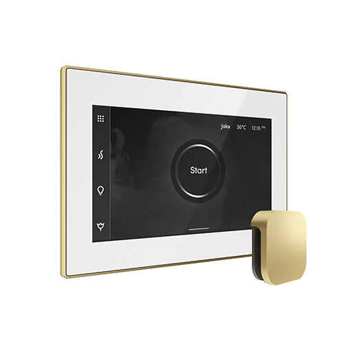 Mr.Steam iSteamX Steam Shower Control w/ Aroma SteamHead