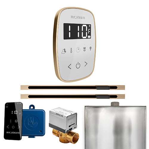 Mr.Steam ButlerFlex Steam Shower Max Linear Control Package