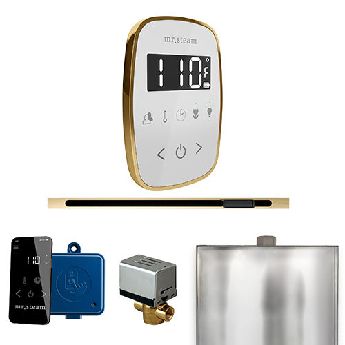 Mr.Steam ButlerFlex Steam Shower Linear Control Package