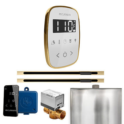 Mr.Steam ButlerFlex Steam Shower Max Linear Control Package