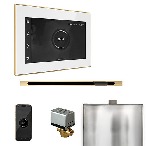 Mr.Steam XButler Steam Shower Linear Control Package