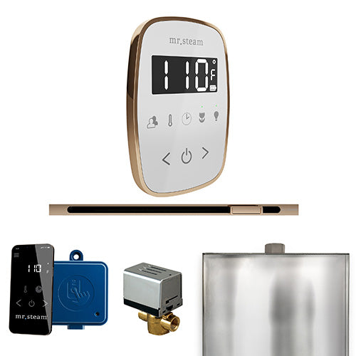 Mr.Steam ButlerFlex Steam Shower Linear Control Package