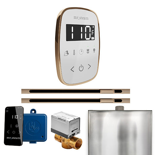 Mr.Steam ButlerFlex Steam Shower Max Linear Control Package