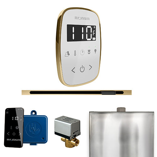 Mr.Steam ButlerFlex Steam Shower Linear Control Package