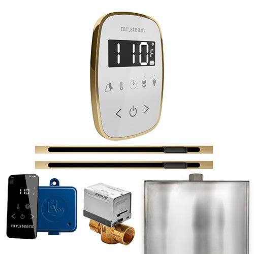Mr.Steam ButlerFlex Steam Shower Max Linear Control Package